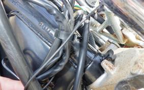 YAMAHA VIRAGO 250 TRIKE 3DM