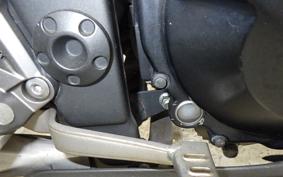 KAWASAKI NINJA 250 EX250L