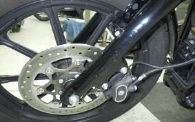 HARLEY XL1200NS 2020