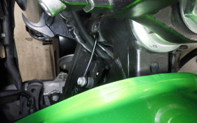 KAWASAKI VERSYS 250 A 2025 LE250D