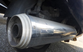 YAMAHA MAXAM 250 SG21J