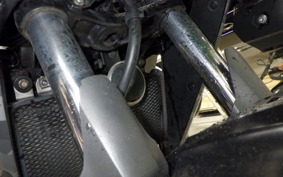 KAWASAKI VERSYS 250 A 2004 LE250D