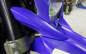 YAMAHA WR250X 2007 DG15J