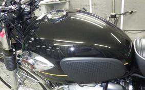 KAWASAKI W800 2025 EJ800E