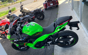 KAWASAKI NINJA 250 EX250Y