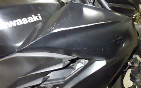 KAWASAKI Z250 2017 ER250C
