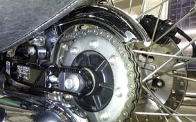 KAWASAKI W800 2020 EJ800B