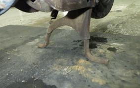 HONDA MOTOCOMPO 2010 AB12