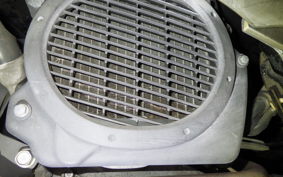 HONDA LEAD 110 2026 JF19