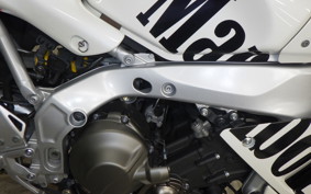 YAMAHA XSR900 GP 2025 RN96J