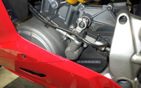 DUCATI 1199 PANIGALE S 2019