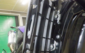 YAMAHA WR250X 2023 DG15J