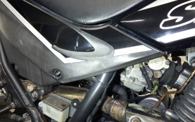 KAWASAKI SUPER SHERPA KL250G