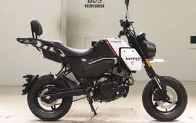 OTHER +CF PAPIO X0-2 2022