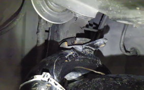 HONDA CLICK 110 2026