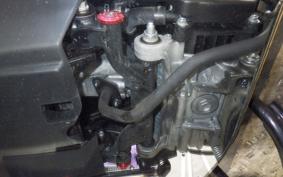HONDA DUNK 1998 AF78