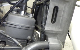 YAMAHA RZ 250 2008 4L3