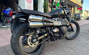 TRIUMPH SCRAMBLER 2024 DAD78G