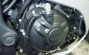 YAMAHA YZF R-3 2024 RH07J