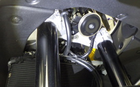 YAMAHA XSR900 GP 2026 RN96J