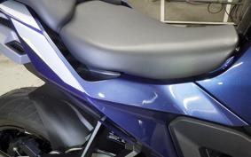 BMW S1000XR 2024