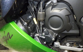 KAWASAKI ZX 1400 NINJA R A 2014