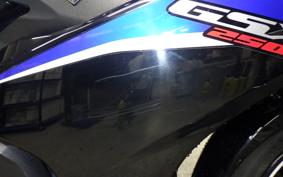 SUZUKI GSX250 R 2019