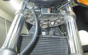 HONDA HORNET 250 2013 MC31