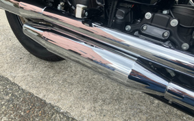 HARLEY FLHCS 2019 YBK