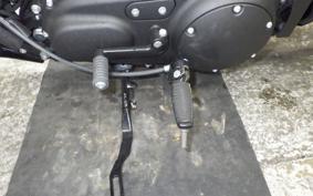 HARLEY XL1200NS 2018