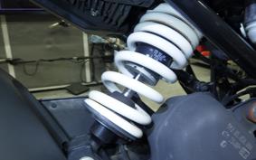 HUSQVARNA SVARTPILEN 250 2020