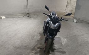 KAWASAKI Z900 2019 ZR900B