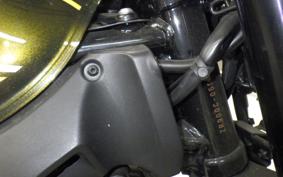 KAWASAKI Z900RS 2021 ZR900C