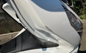 HONDA PCX 125 JF81