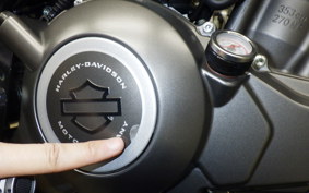 HARLEY X350 2024