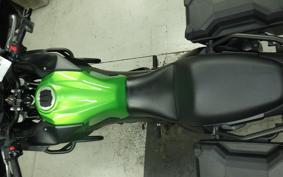 KAWASAKI VERSYS 250 A LE250D