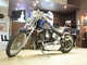 Фото Harley FXSTS Springer Softail 1998 с японского аукциона
