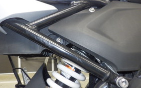 BMW G310GS 2021