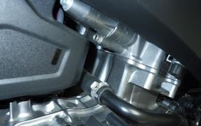 HONDA NT1100 2023 SC84