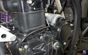KAWASAKI KLX250D TRACKER X LX250V