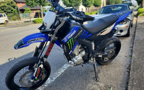 YAMAHA WR250X DG15J