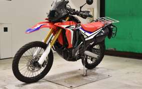 HONDA CRF250 RALLY A 2024 MD44