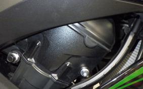 KAWASAKI NINJA 1000SX 2024 ZXT02K