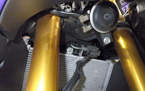 YAMAHA YZF R-3 2020 RH13J