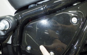 INDIAN Chief Dark Horse bobber 2025