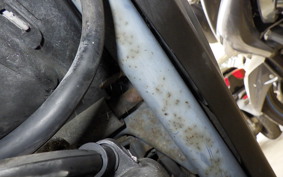 HONDA DIO ZX GEN 2 1983 AF35