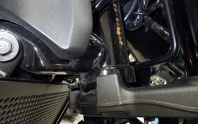 KAWASAKI Z900RS 2024 ZR900K