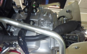 HONDA C50 SUPER CUB 2021 AA09