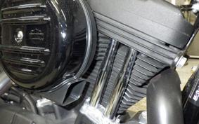 HARLEY XL1200NS 2020