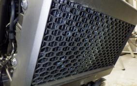 HONDA REBEL 250 E-Clutch 2018 MC49